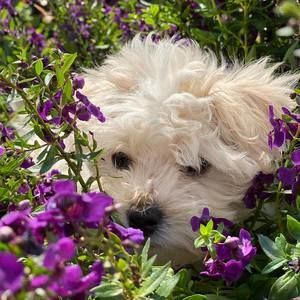 Meet your Posher, Sandra